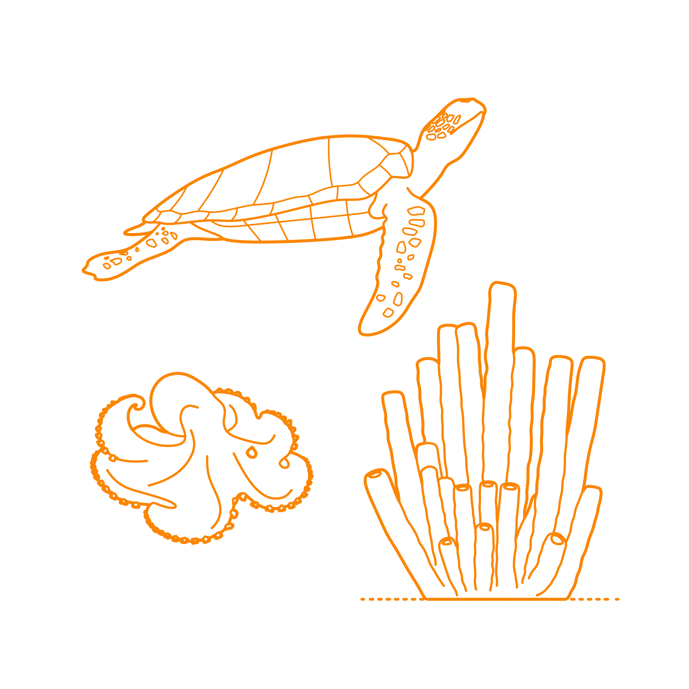 Animals Coral Reef Animals Sketch Style Svg Vector Free Vectors